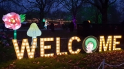 Alice in Winterland Lantern Festival January 2019