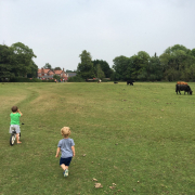 Ashurst Campsite with Ethan and Rory August 2016