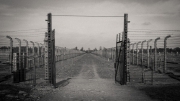 Auschwitz