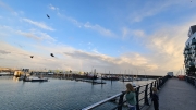Brighton Marina August 2025