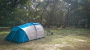 Camping in the New Forest 2014