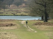 Cycling Around Wimbledon Common and Richmond Park