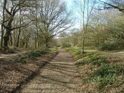 Cycling Through Wimbledon Common