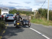 Dog in Sidecar