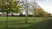 Elm Grove Recreation Ground Walton