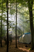 Forgewood Camping 2014