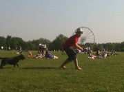 Frisbee in Hyde Park