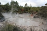 Geothermal Mudpool