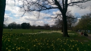 Greenwich Park 5 April 2015