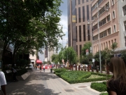 Johannesburg Main Street