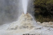 Lady Knox Geyser