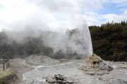 Lady Knox Geyser