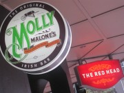 Molly Malones Irish Pub