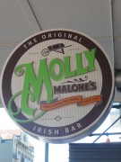 Molly Malones Wellington