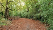 Nunhead Cemetery September 2018