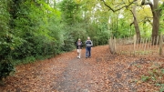 Nunhead Cemetery September 2018