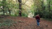 Nunhead Cemetery September 2018