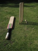 Playing Garden Cricket