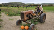 Poynings Pumpkin Patch October 2026
