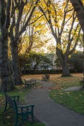 Putney Old Burial Ground