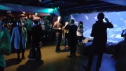 Silent Disco at the Aquarium February 2018