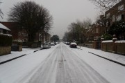 Snow Feb 2012