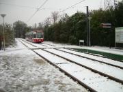 Snow Tram Tracks