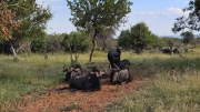 South Africa Mabalingwe 2026