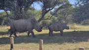 South Africa Mabalingwe 2026