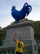 South African Elections 2014 Trafalgar Square