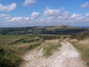 South Downs Way