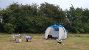 Sunnyfield Camping August 2020
