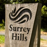 Surrey Hills