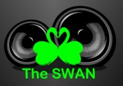 Swan Nightclub