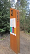 Swinley Forest Mountain Biking
