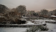 Telegraph Hill Park in the Snow