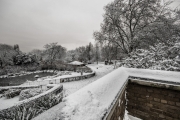 Telegraph Hill Park in the Snow