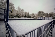 Telegraph Hill Park in the Snow