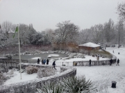 Telegraph Hill Park in the Snow