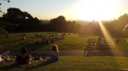 Telegraph Hill Sunset 19 July 2016