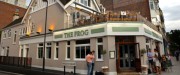 The Frog in Clapham