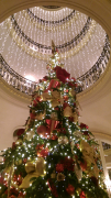 The Ritz Xmas Tree Dec 2015