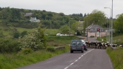 Traffic Jam in Ireland