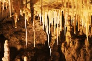 Waitomo Glowworms Cave