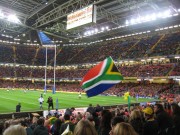 Wales vs South Africa