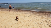 Welberswick Beach July 2018