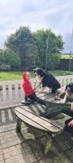West Cork May 2025