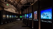 Wildlife Photographer of the Year Exhibition